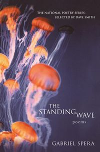Produktbild: The Standing Wave