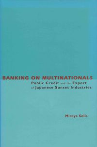 Produktbild: Banking on Multinationals