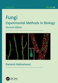 Produktbild: Fungi