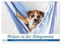 Produktbild: Welpen in der H&auml;ngematte (Wandkalender 2026 DIN A2 quer), CALVENDO Monatskalender