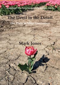Produktbild: The Devil in the Detail