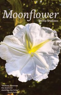 Produktbild: Moonflower