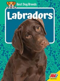 Produktbild: Labradors