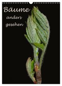 Produktbild: B&auml;ume anders gesehen (Wandkalender 2026 DIN A3 hoch), CALVENDO Monatskalender