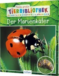 Bild vom Artikel Meine große Tierbibliothek: Der Marienkäfer vom Autor Valerie Tracqui