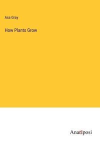 Produktbild: How Plants Grow