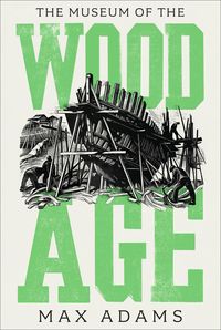 Produktbild: The Museum of the Wood Age