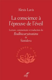 Produktbild: La conscience &agrave; l'&eacute;preuve de l'&eacute;veil : lecture, commentaire et