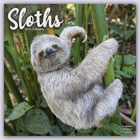 Produktbild: Sloths - Faultiere 2023 &ndash; 16-Monatskalender