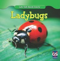 Produktbild: Incredible Ladybugs