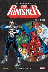 Produktbild: Punisher : l'int&eacute;grale