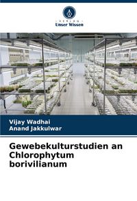 Produktbild: Gewebekulturstudien an Chlorophytum borivilianum