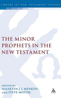 Produktbild: The Minor Prophets in the New Testament