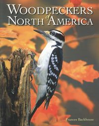 Produktbild: Woodpeckers of North America