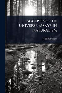 Produktbild: Accepting the Universe Essays in Naturalism
