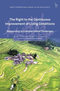 Produktbild: The Right to the Continuous Improvement of Living Conditions