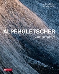 Bild vom Artikel Alpengletscher vom Autor Andrea Fischer