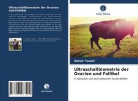 Produktbild: Ultraschallbiometrie der Ovarien und Follikel