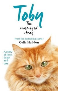 Produktbild: Toby The Cross-Eyed Stray