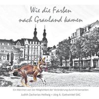 Produktbild: Wie die Farben nach Grauland kamen
