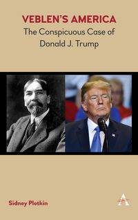 Produktbild: Veblen's America