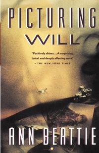 Produktbild: Picturing Will