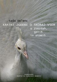 Produktbild: Kratke zgodbe o skoraj vsem : o zvezdah, genih in atomih