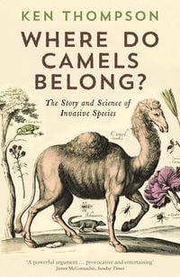 Produktbild: Where Do Camels Belong?