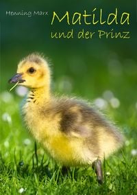 Produktbild: Matilda und der Prinz
