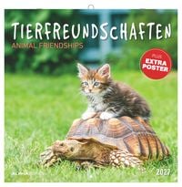 Produktbild: Tierfreundschaften 2027