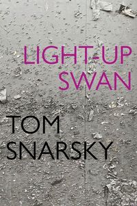 Produktbild: Light-Up Swan