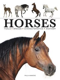 Produktbild: Horses