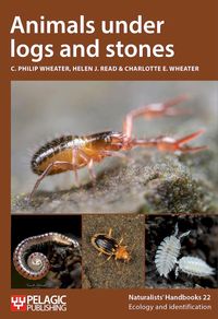 Produktbild: Animals under logs and stones