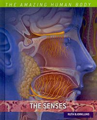 Produktbild: The Senses