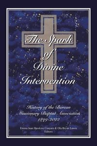 Produktbild: The Spark of Divine Intervention