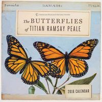 Produktbild: Peale, T: Butterflies