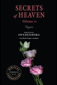 Produktbild: Secrets of Heaven Volume 11