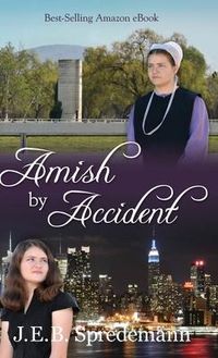 Produktbild: Amish by Accident