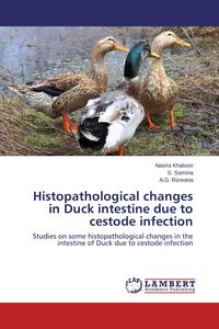 Produktbild: Histopathological changes in Duck intestine due to cestode infection