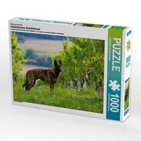 Produktbild: CALVENDO Puzzle Ein Motiv aus dem Kalender Holl&auml;ndischer Sch&auml;ferhund | 1000 Teile Lege-Gr&ouml;&szlig;e 64x48cm Foto-Puzzle f&uuml;r gl&uuml;ckliche Stunden