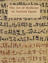 Produktbild: Allen, J: The Art of Medicine in Ancient Egypt