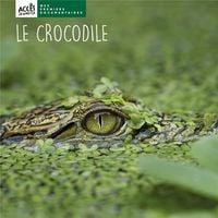 Produktbild: Le crocodile