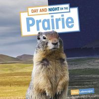 Produktbild: Day and Night on the Prairie