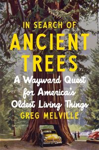 Produktbild: In Search of Ancient Trees