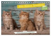 Produktbild: Die Kitten kommen. (Tischkalender 2026 DIN A5 quer), CALVENDO Monatskalender