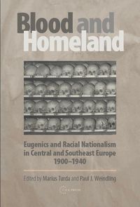 Produktbild: Blood and Homeland