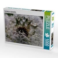 Produktbild: CALVENDO Puzzle Tautropfen im L&ouml;wenzahn | 1000 Teile Lege-Gr&ouml;&szlig;e 64x48cm Foto-Puzzle f&uuml;r gl&uuml;ckliche Stunden