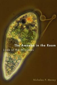 Produktbild: Amoeba in the Room