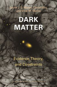 Produktbild: Dark Matter - Evidence, Theory, and Constraints