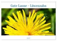 Produktbild: Gute Laune - L&ouml;wenzahn (Wandkalender 2027 DIN A3 quer), CALVENDO Monatskalender